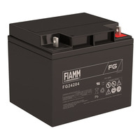 Аккумулятор Fiamm FG24204